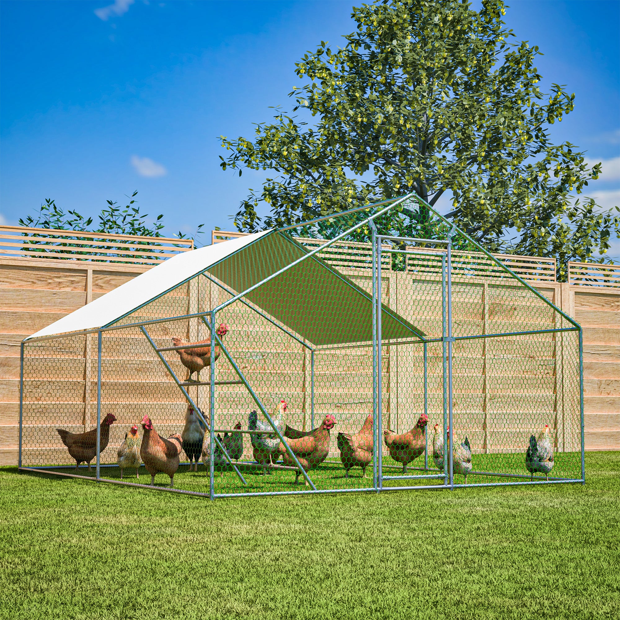 Chicken Coop 3x4m Perch Ladder Safety Lock UV Cover - Reinforced Steel - Image 10