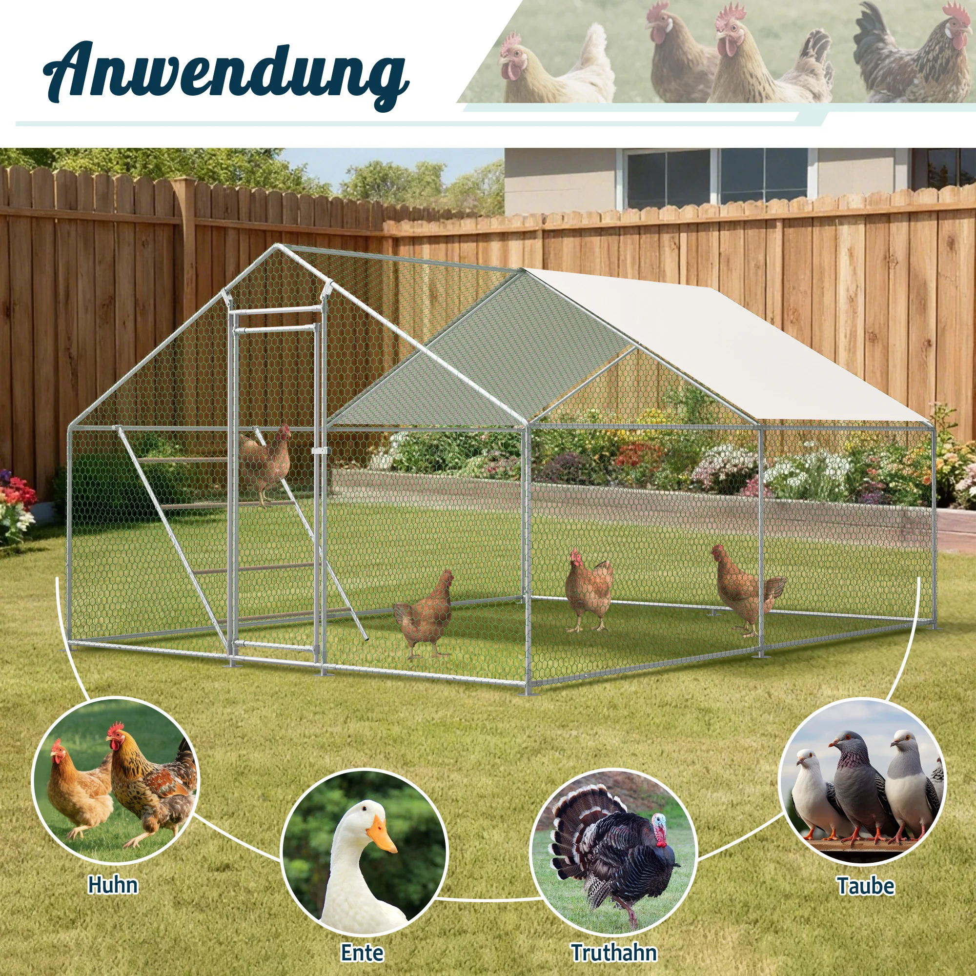 Chicken Coop 3x4m Perch Ladder Safety Lock UV Cover - Reinforced Steel - Image 7