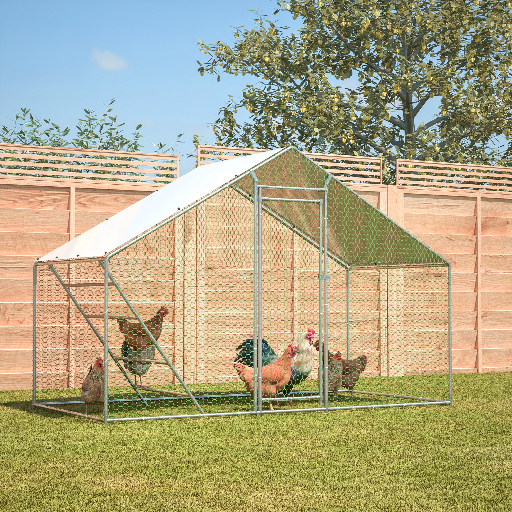 Chicken Coop - Run, Ladder, Secure, Weatherproof - Image 9