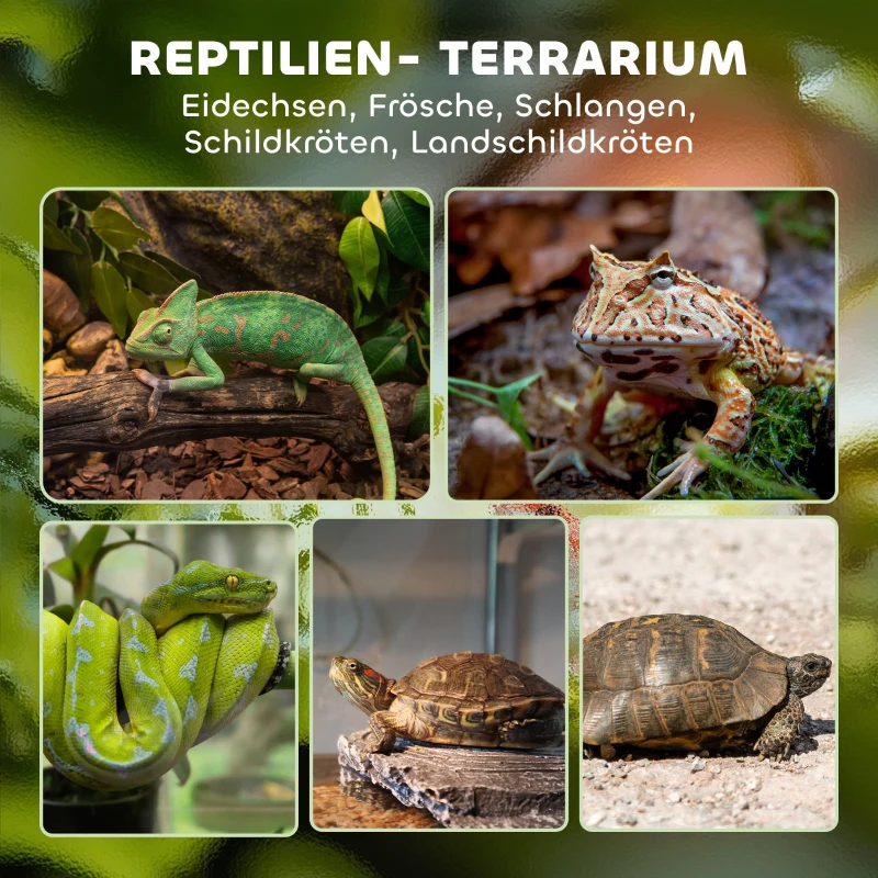 Glass Terrarium for Reptiles, Raised Waterproof Base, Button Lock, Glass - Image 4
